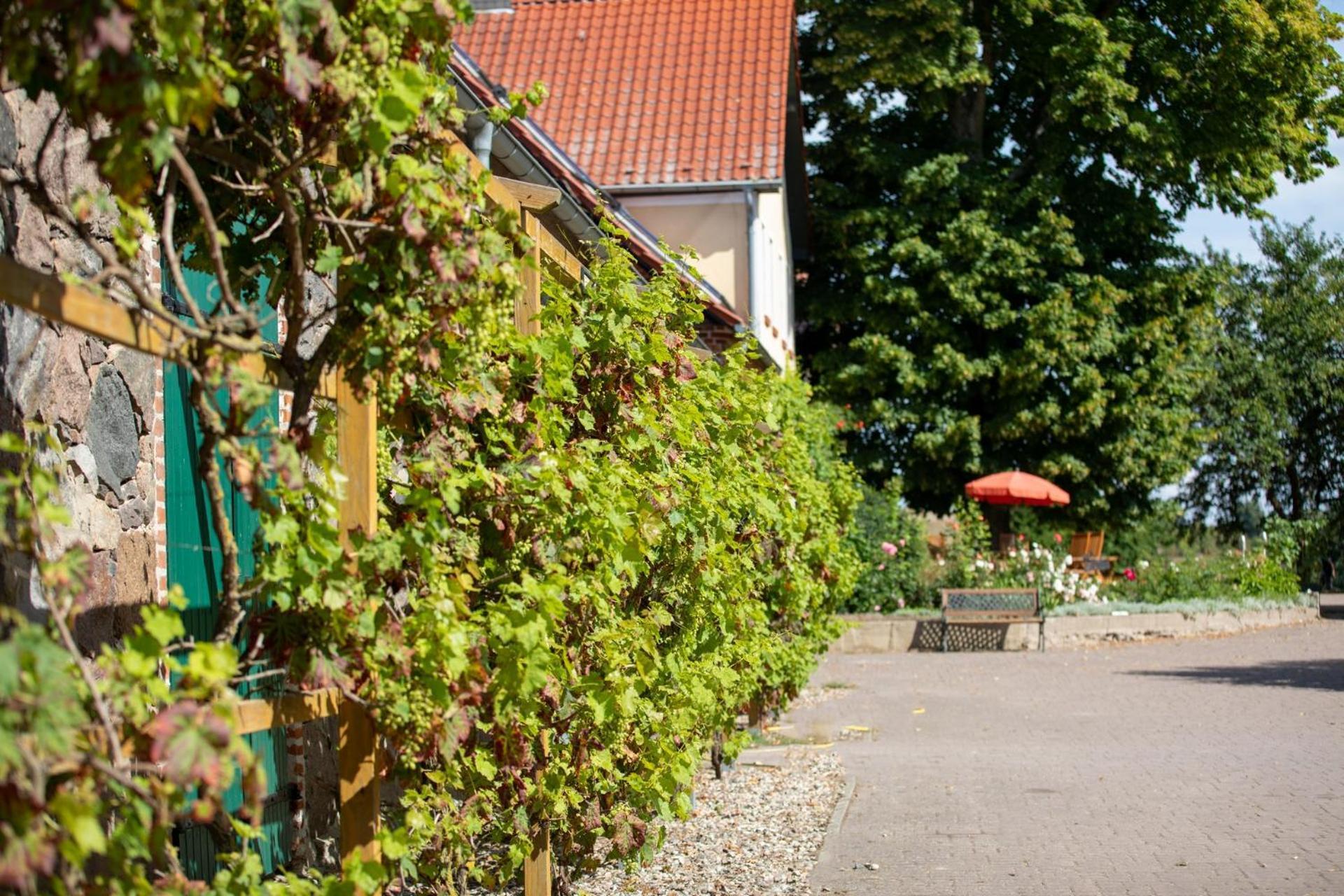 Appartamento Landurlaub Auf Dem Mellenhof Funkenhagen Esterno foto